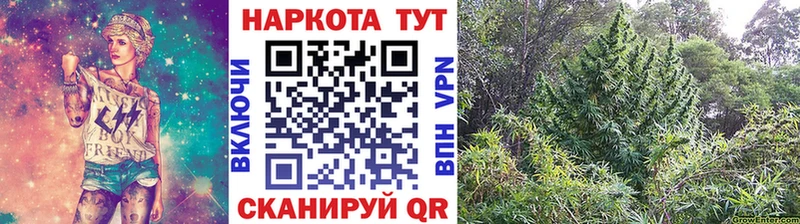 Купить наркотики сайты Николаевск Alpha PVP  Мефедрон  Cocaine  ОМГ ОМГ ТОР  Галлюциногенные грибы  МАРИХУАНА  Амфетамин  ГАШИШ 