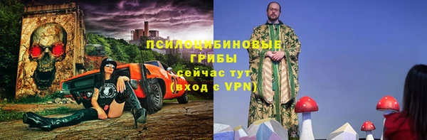 стаф Горнозаводск