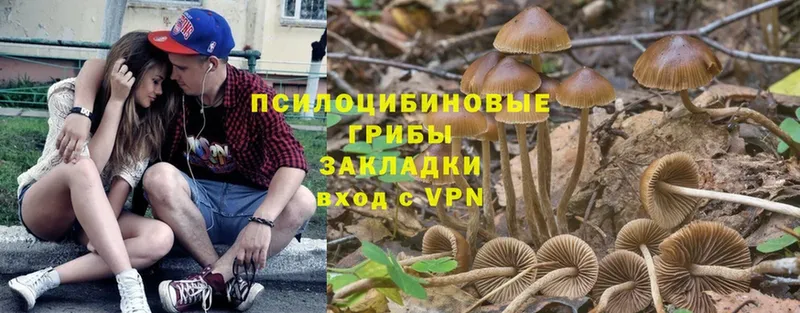 даркнет сайт  Николаевск  Псилоцибиновые грибы MAGIC MUSHROOMS 